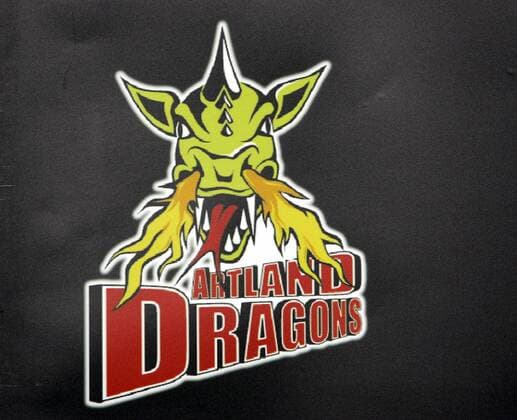 Vereinslogo der Artland Dragons Quakenbrück Basketball 1. BL Herren BBL 2005 2006, Artland Dragons Quakenbrück Einzelbild