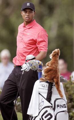 Eldrick Tiger Woods (USA) schaut sich skeptisch eine Golftasche mit Stofftieren an - (Icon5345059) Golf Herren Ford Championship 2006, PGA Tour, Golfen Einzelbild Doral Skepsis, EDITORIAL USE ONLY