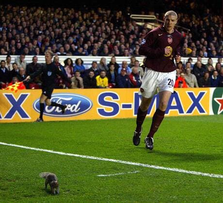Philippe Senderos (Arsenal) beobachtet ein vorwitziges Eichhörnchen -  Fußball EC 1 Herren Champions League 2005 2006, Halbfinale, FC Arsenal London Gruppe London