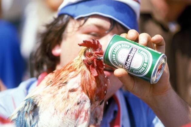 Fußball, EM Finale 1984 in Paris, Frankreich - Spanien Französischer Fan läßt seinen gallischen Hahn aus einer Heineken Dose trinken Fußball Länderspiel Herren EM 1984, Nationalmannschaft, Frankreich Finale Endspiel, Vdia Einzelbild Paris Komik Fußball Länderspiel Herren EM 1984, Nationalmannschaft, Frankreich Finale Endspiel, Vdia Einzelbild Paris Komik