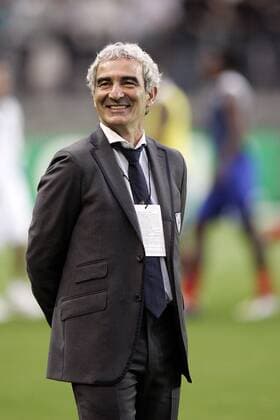 Nationaltrainer Raymond Domenech (Frankreich) gut gelaunt -  (pan26132) Fußball Länderspiel Herren Freundschaftsspiel 2008, Test, Testspiel, Nationalteam Einzelbild Paris Freude,