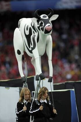 Eine Kuhskulptur wird anläßlich der Eröffnungsfeier der EM 2008 getragen Fußball EM Herren Euro 2008, Eröffnungsfeier, Feier, Eröffnung, Zeremonie Gruppe Basel Fußball EM Herren Euro 2008, Eröffnungsfeier, Feier, Eröffnung, Zeremonie Gruppe Basel