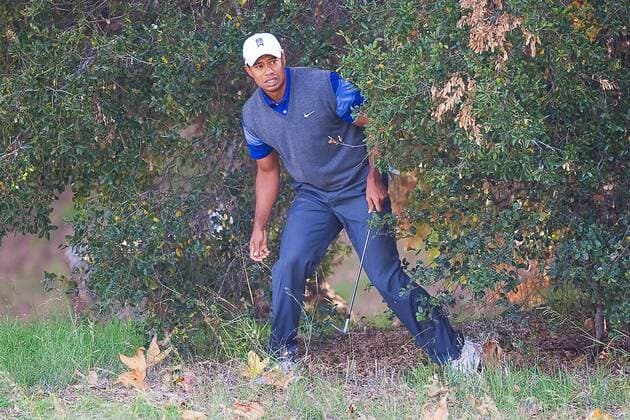 Dec. 2, 2011 - Thousand Oaks, California, U.S. - December 2, 2011: Tiger Woods hits out of the bushed on the off the 5th fairway during the second round of the Chevron World Challenge held at Sherwood Country Club, Thousand Oaks, CA. 2011 Chevron World Challenge - ZUMAec2