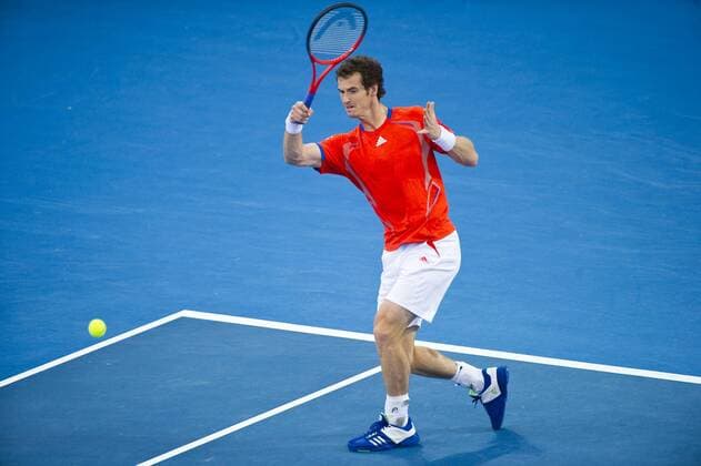 06.01.2012 Brisbane, Australia. Action from Mens semifinal of Andy Murray (GBR) - The Queensland Tennis Centre. xJOOSEPxMARTINSONx  ActionPlus20138412