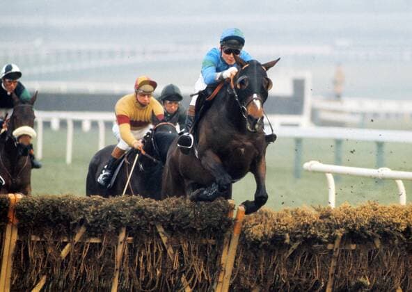 Horse Jumping : National Hunt Cheltenham festival.Race 1 14 03 1974 John Francome on Gay Kybo 