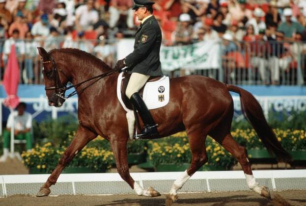 Olympische Spiele Sommerspiele 1992 Barcelona Reiten , Dressur , Klaus BALKENHOL auf Goldstern Bronze ( BRD ) Deutschland