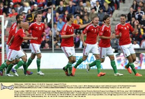 Czech Republic vs Hungary soccer friendly match in Prague, Czech Republic, on Friday, June 1, 2012. Hungarian soccer team celebrate a goal. (CTKxPhoto VitxSimanek)  CTKPhoto069201206010886401