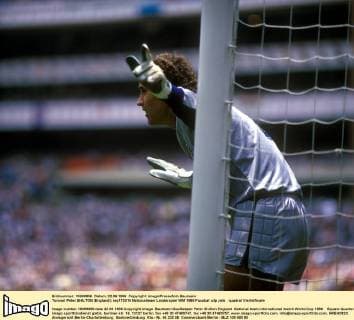 Torwart Peter SHILTON (England)