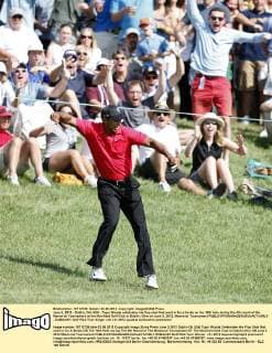 June 3, 2012 - Dublin, OH, USA - Tiger Woods celebrates his flop shot that went in for a birdie on the 16th hole during the 4th round of the Memorial Tournament at the Muirfield Golf Club in Dublin, Ohio on June 3, 2012. Memorial Tournament - ZUMAm67