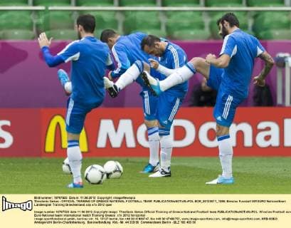 Theofanis Gekas - OFFICIAL TRAINING OF GREECE NATIONAL FOOTBALL TEAM  BOR_20120611_1086