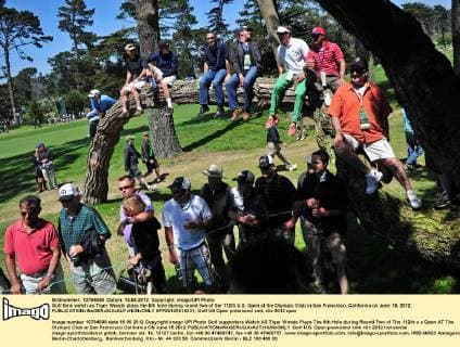 Golf fans watch as Tiger Woods plays the 6th hole during round two of the 112th U.S. Open at the Olympic Club in San Francisco, California on June 15, 2012.  SFP20120615331