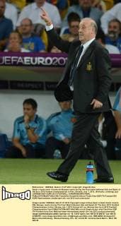 Spain s head coach Vicente del Bosque reacts during the final match between Italy and Spain at the Euro 2012 football championships in Kiev, Ukraine, July 1, 2012. (Xinhua Li Jundong) (jyc) UKRAINE-KIEV-EURO 2012 FOOTBALL CHAMPIONSHIPS-FINAL 