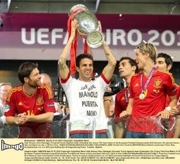 Xabi Alonso, Cesc Fabregas, Fernando Torres Spanish team celebrates the victory The final match of the European Football Championship 2012 between the national teams of Italy and Spain on July 1, 2012 in Kiev.  EN_01036416_0009