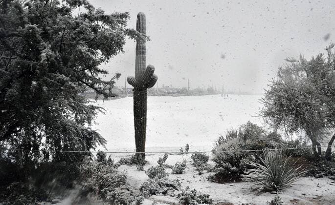 Fans walk across a snow covered fairway after play was suspended in the first round of the Accenture World Golf Championship at The Golf Club at Dove Mountain in Marana, Arizona February 20, 2013.  PXP2013022019