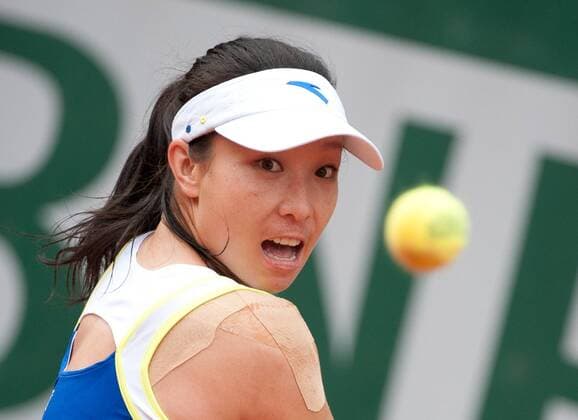 Zheng Jie of China hits a return during her women s singles second round match on day 5 of the 2013 French Open tennis tournament at Roland Garros in Paris, France on May 30, 2013. (Xinhua Bai Xue) (SP)FRANCE-PARIS-TENNIS-FRENCH OPEN 