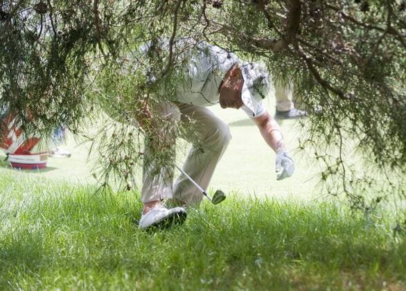 June 15, 2013 - New York, U.S. - June 15 2013: Shawn Stefani, of USA, retrieves a hit ball underneath a tree on the 2nd far way stretch during the third round at the 113th U.S. Open National Championship at the Merion Golf Club in Ardmore, Pa. Golf 2013: US Open JUN 15 - ZUMAcw2
