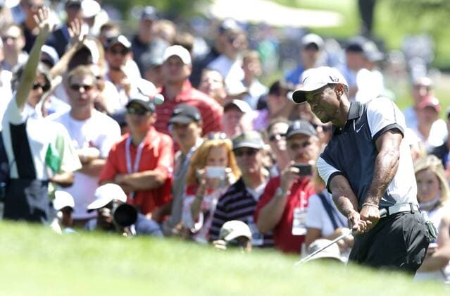 Tiger Woods chips on to the 9th green in the third round of the PGA Golf Herren Championship at Oak Hill Country Club in Rochester, New York on August 10, 2013.  NYP20130810109