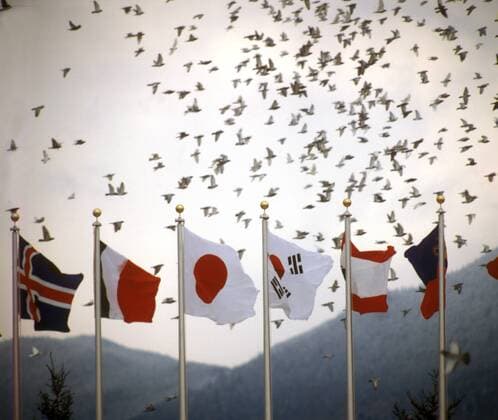 Eröffnungsfeier der Olympischen Spiele 1980 in Lake Placid, weiße Tauben hinter den Fahnen der Teilnehmer Island, Italien, Japan, Südkorea, Libanon und Liechtenstein