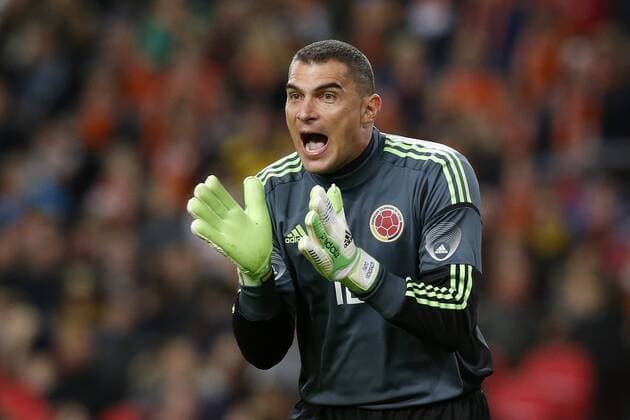 Farid Mondragon of Colombia during the friendly match between the Netherlands and Colombia at the Amsterdam Arena on November 19, 2013 in Amsterdam, The Netherlands Netherlands v Colombia Friendly 2013 2014 xVIxJeroenxPutmansxIVx 1913552