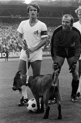 Fussball 1. Bundesliga 1970 1971 1. FC Köln 3- 1 Eintracht Braunschweig 22.08.1970 Wolfgang Overath (li, 1. FC Köln) mit Maskottchen Hennes und Torwart Manfred Manglitz (1. FC Köln) FOTO: WEREK Pressebildagentur xxNOxMODELxRELEASExx