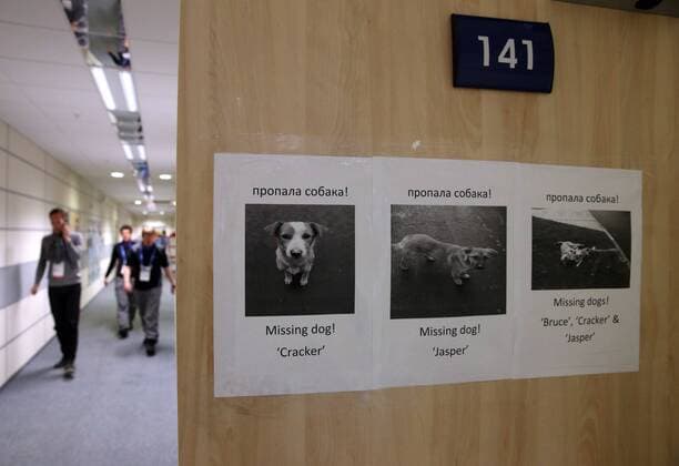Feb. 17, 2014 - Sochi, RUS - Missing dog signs hang inside the Laura Cross-Country Ski and Biathlon Center at the Winter Olympics in Sochi, Russia, Monday, Feb. 17, 2014. Men s 15K Mass Start Biathlon - ZUMAm67