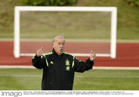 Vicente Del Bosque. Spain s national team training session. In this picture, Del Bosque. xJOSExA.xGARCIAx 