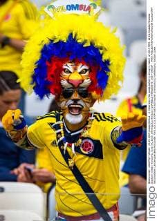 A Colombia s fan poses before a Group C match of 2014 FIFA at the Estadio Mineirao Stadium in Belo Horizonte, June 14, 2014. (Xinhua Liu Bin)(pcy) (SP)BELO HORIZONTE- 2014-GROUP -FANS 