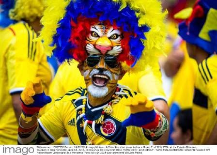A Colombia s fan poses before a Group C of 2014 FIFA at the Estadio Mineirao Stadium in Belo Horizonte, June 14, 2014. (Xinhua Liu Bin)(pcy) (SP)BELO HORIZONTE- 2014-GROUP -FANS 