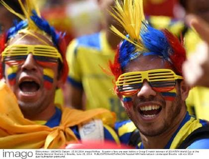 Ecuador s fans are seen before a Group E match between of 2014 FIFA World Cup at the Estadio Nacional Stadium in Brasilia, June 15, 2014. 