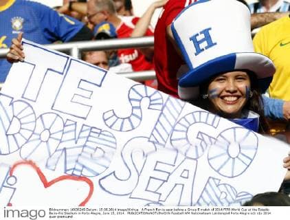 A French Fan is seen before a Group E match of 2014 FIFA World Cup at the Estadio Beira-Rio Stadium in Porto Alegre, June 15, 2014. 