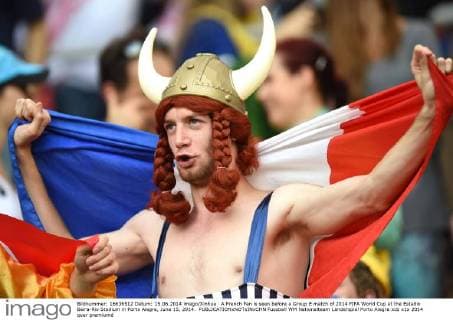 A French Fan is seen before a Group E match of 2014 FIFA World Cup at the Estadio Beira-Rio Stadium in Porto Alegre, June 15, 2014. 