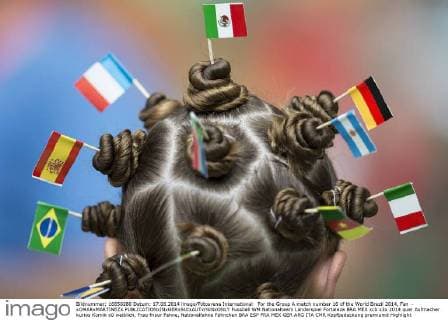For the Group A match number 16 of the World Brazil 2014, Fan - xOMARxMARTINEZx 