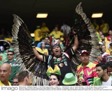 (140617) -- FORTALEZA, June 17, 2014 (Xinhua) -- A fan of team Mexico cheers during a Group A match of 2014 FIFA World Cup at the Estadio Castelao Stadium in Fortaleza, June 17, 2014. The match concluded 0-0. (Xinhua Lui Siu Wai)(xzj) (EDITOR CHOICE)(SP) FORTALEZA-WORLD CUP 2014-GROUP A-FANS 