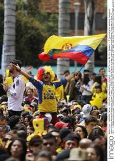 (140619) -- BOGOTA, June 19, 2014 (Xinhua) -- A Colombia s fan waving a Colombia s national flag cheers while watching a Group C match of 2014 FIFA World Cup on a screen installed in downtown Bogota, Colombia, on June 19, 2014. (Xinhua LuisaxGonzalez COLPRENSA)(pcy) MANDATORY CREDIT NO SALE-NO ARCHIVE EDITORIAL USE ONLY COLOMBIA OUT (SP)COLOMBIA-BOGOTA-WORLD CUP 2014-FANS 