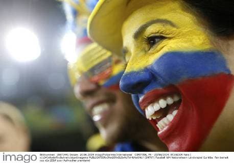 CURITIBA, PR - 20 06 2014: ECUADOR Fans ( x(134)xRodolfoxBuhrerx xLaxImagemx  (24707)