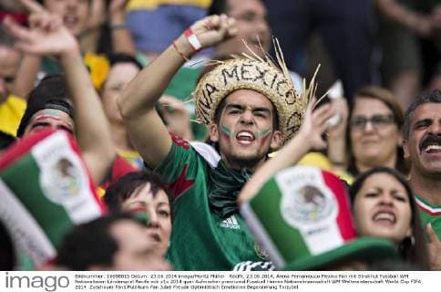 Recife, 23.06.2014, Arena Pernambuco Mexiko Fan mit Strohhut
