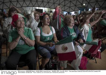 MEXICO CITY, June 23, 2014 - Mexicans Fans 