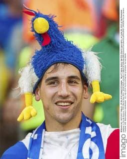 fan of France during the FIFA World Cup match on June 25, 2014 at the Maracana stadium in Rio de Janeiro. FIFA World Cup 2014 2013 2014 xVIxxIVx 2403786