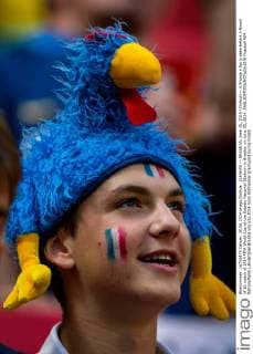 (140630) -- BRASILIA, June 30, 2014 (Xinhua) -- A France s fan is seen before a Round of 16 match of 2014 FIFA World Cup at the Estadio Nacional Stadium in Brasilia, on June 30, 2014. 