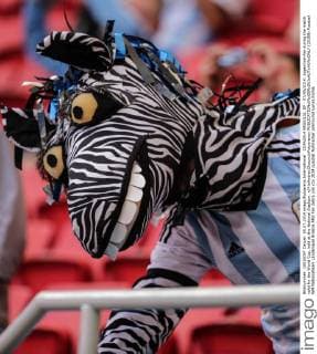 COPA2014 BRASILIA, DF - 07 05 2014: Argentina-Fan during the match valid for the World Cup, held at the National Stadium. x(4)xAndrexChacox xFotoarenax  (25389)