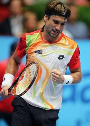TENNIS - ATP, Erste Bank Open 2014 VIENNA,AUSTRIA,19.OCT.14 - TENNIS - ATP Tennis Herren World Tour, Erste Bank Open, final. Image shows the rejoicing of David Ferrer (ESP). 