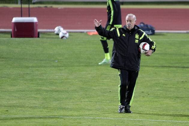 Practice session of football spanish team at The football town in las rozasl. Vicente del Bosque. November 12, 2014.  (20238791)