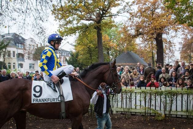 Renntag auf der Galopprennbahn Frankfurt in Niederrad Hessen-Pokal-Listenrennen 02.11.2014, Frankfurt, im Bild: Pferde und Reiter zeigen sich dem Publikum vor dem Rennen im Führring, hier Start-Nr. 9. Ian Ferguson auf Ante Portas (GER)
