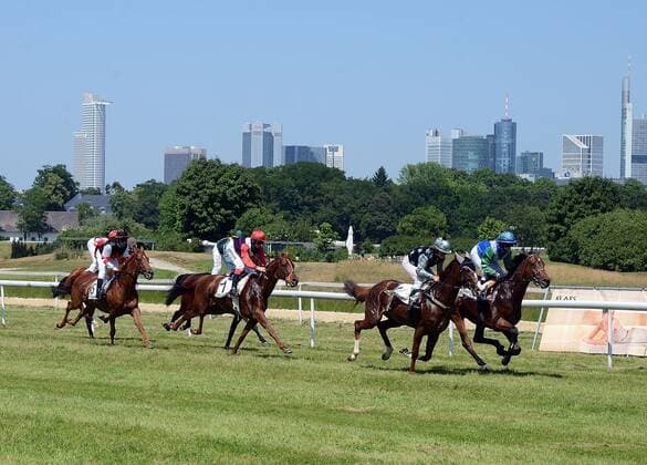 Aktuell Pferdesport, Pferderennen, 16. Renntag des Handwerks in Frankfurt 04.06.2015, xhbx, Pferdesport, 16. Renntag des Handwerks, v.l. Reiter vor der Frankfurter Skyline