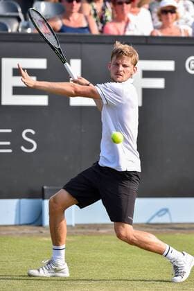- ROSMALEN, NETHERLANDS: Belgian David Goffin pictured in action during a tennis game between Belgian David Goffin and Ukrainian Illya Marchenko in the third round of the men s tournament at the Topshelf Open WTA Tennis Damen tennis tournament in Rosmalen, the Netherlands, Friday 12 June 2015. LUCxCLAESSEN  x04641686x
