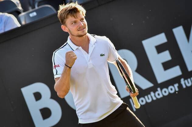 - ROSMALEN, NETHERLANDS: Belgian David Goffin celebrates after winning a tennis game between Belgian David Goffin and Luxembourgish Gilles Muller in the semifinals of the men s tournament at the Topshelf Open WTA Tennis Damen tennis tournament in Rosmalen, the Netherlands, Saturday 13 June 2015. LUCxCLAESSEN  x04642210x