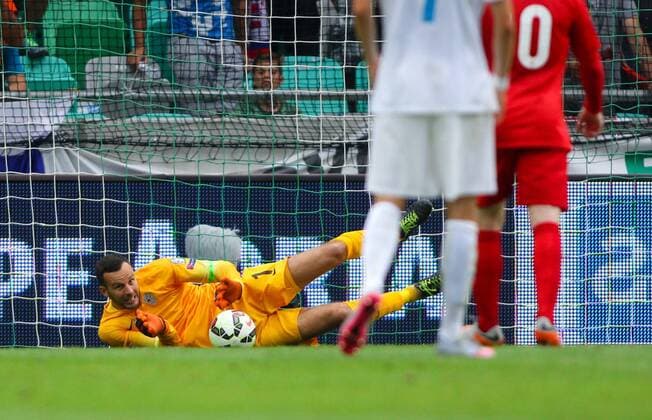 SOCCER - UEFA EURO EM Europameisterschaft Fussball 2016 quali, SLO vs ENG LJUBLJANA,SLOVENIA,14.JUN.15 - SOCCER - UEFA European Championship EM Europameisterschaft 2016, European Qualifiers, international match Länderspiel Slovenia vs England. Image shows Samir Handanovic (SLO). GEPAxpictures xMaticxKlansek