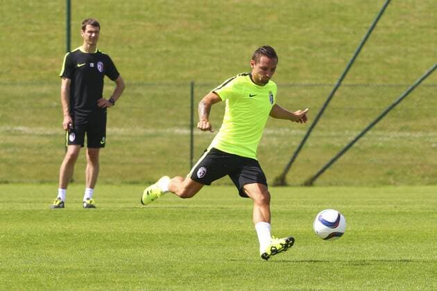 Eric Bautheac FOOTBALL : Reprise Entrainement LOSC - 29 06 2015 GwendolineLeGoff Panoramic 