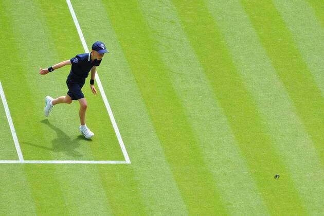 Aktuell Tennis, Wimbledon, Meise stört das Spiel Djokovic - Kohlschreiber Oiseau sur centre court TENNIS : Tournoi de Wimbledon 2015 - 29 06 2015 TennisMagazine Panoramic 