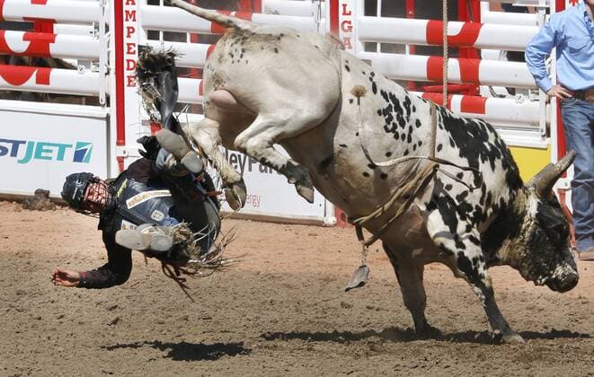Calgary, Alberta; Canada--- Cowboy Chad Besplug (from Claresholm, Alberta) is bucked off a bull called Teen Spirit in the Bull Riding event during the rodeo at Calgary Stampede. digital photo by Larry MacDougal